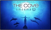 The Cove - La baia dove muoiono i delfini (FILM completo) - greenMe