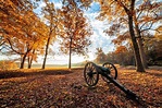 Wilderness Battlefield - Scenic Virginia