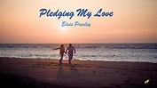 Pledging My Love - Elvis Presley (com tradução) - YouTube