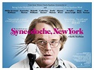 Sección visual de Synecdoche, New York - FilmAffinity