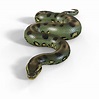 Animated Green Anaconda | 3D model | Green anaconda, Anaconda, 3d model