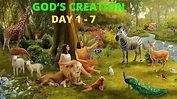 God's Creation | Day 1-7 | The Story of Creation | - YouTube