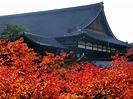 Tofukuji Temple: the Best Temple for Autumn Leaves Viewing in Kyoto ...