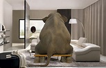 «El elefante en la habitación» – El oficio de historiar