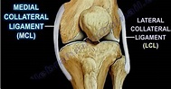 Medial Collateral Ligament Injuries | HuffPost