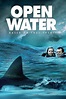 Open Water (2003) - Posters — The Movie Database (TMDB)