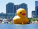 See the Giant Rubber Duck that Waddled into Toronto to Celebrate Canada ...