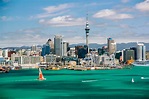 Vielseitiges Auckland in Neuseeland | Urlaubsguru.de