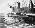 Whaling boats, 1888 - Stock Image - C011/2892 - Science Photo Library