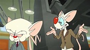 Pinky y Cerebro en el nuevo trailer de Animaniacs
