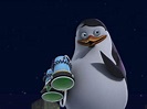 Prime Video: Los pingüinos de Madagascar Temporada 1