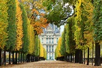 Jardim de Tuileries: conheça um dos mais belos jardins de Paris