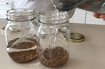 Soaking & Sprouting Guide: How to Soak and Sprout Grains, Nuts, Seeds ...