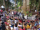 阿里山神木下婚禮 11對新人溫馨互許終身-風傳媒