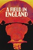 A Field in England (2013) - Posters — The Movie Database (TMDB)