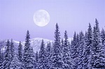How and When to See December's Cold Moon, the Last Full Moon of 2022 ...
