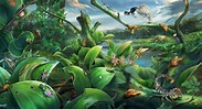 Un bioma del Mioceno ilustra la evolución de la selva tropical