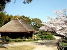 Picture Information: Toyonaka in Japan
