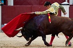 Matador’s decision to wipe the face of a dying bull sparks outrage ...