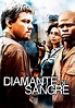 Diamante de sangre - película: Ver online en español