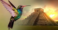 The Mayan Legend of the Hummingbird