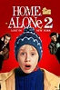 Home Alone 2: Lost in New York (1992) - Posters — The Movie Database (TMDb)