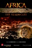 Now Playing : IMAX - Africa: The Serengeti (1994) | Serengeti, Free ...