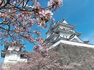Iga Ueno Castle - GaijinPot Travel