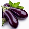 How to Grow Eggplant | Viva La Vida