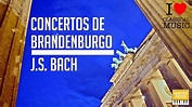 CONCERTOS DE BRANDENBURGO COMPLETOS | BACH 🎵 - YouTube