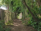 Oldhouse Warren, Mid Sussex - area information, map, walks and more