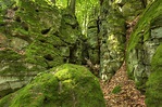 Teufelsschlucht Südeifel Foto & Bild | techniken, aufnahme-techniken ...