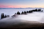 23 Hermosas Fotos en la Niebla para Inspirarte