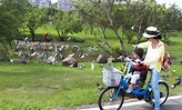 超好騎！全台親子單車路線景點懶人包 | 欣傳媒 | LINE TODAY