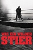 Wie ein wilder Stier (1981) Film-information und Trailer | KinoCheck