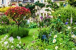How to create a classic English country cottage garden: What to plant ...