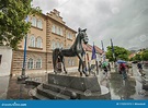 Estatua De Caballo En Slovenj Gradec, Eslovenia Foto de archivo ...