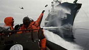 Kampf gegen den Walfang: Umweltschützer in Antarktis verletzt