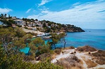 Sol de Mallorca - Das Leben auf Mallorca