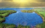 Wetland Wallpapers - Top Free Wetland Backgrounds - WallpaperAccess