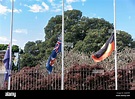 Muerte de la reina Isabel II, en Sídney banderas ondean a media asta ...