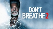 Don't Breathe 2 - Kritik | Film 2021 | Moviebreak.de