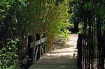 Fullerton-Arboretum Fullerton CA | Fullerton Property Photography ...