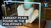 Largest pearl found in the Philippines - YouTube