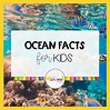 50 Fun Ocean Facts for Kids - Little Learning Corner