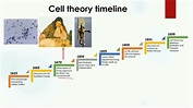 Cell Theory Timeline | Biology - YouTube