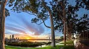 Discover Beautiful Kings Park Perth WA - A Useful Guide