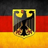 Coat Of Arms And Flag Of Germany Digital Art by Serge Averbukh