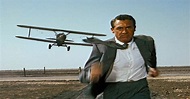 North by Northwest Blu-ray Review - 1959 Film, Hitchcock's Best?
