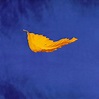 New Order - True Faith (1987) : r/AlbumArtPorn